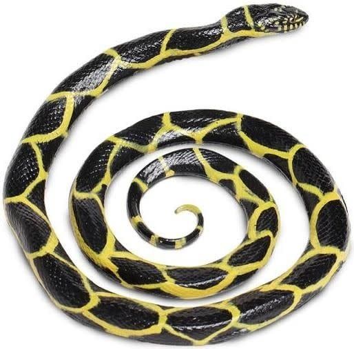Safari Chain Kingsnake