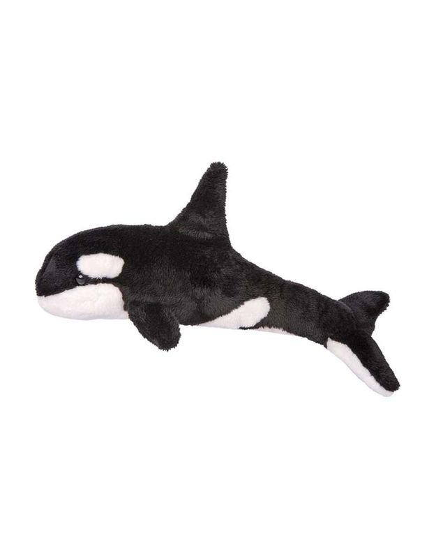 SPOUT ORCA WHALE
