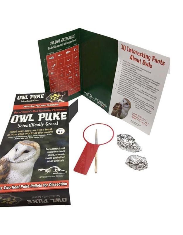 Owl Puke