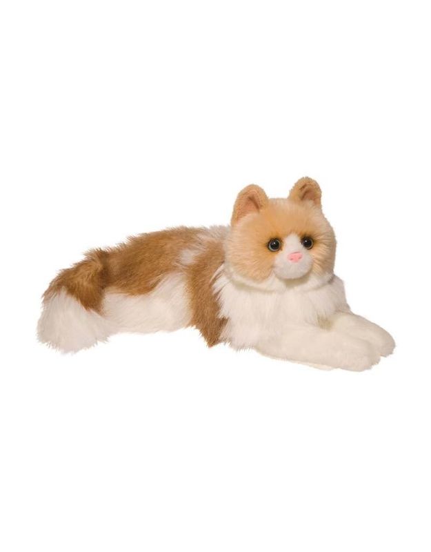 Kiki Ragdoll Cat