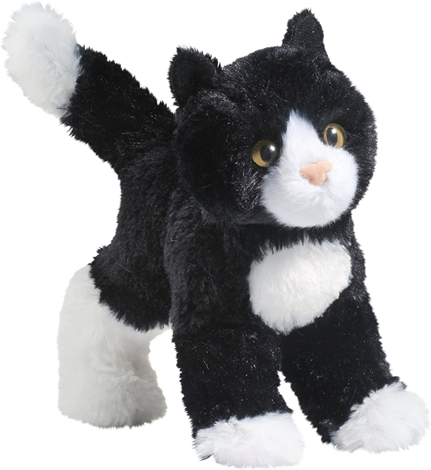 Snippy Black/White Cat