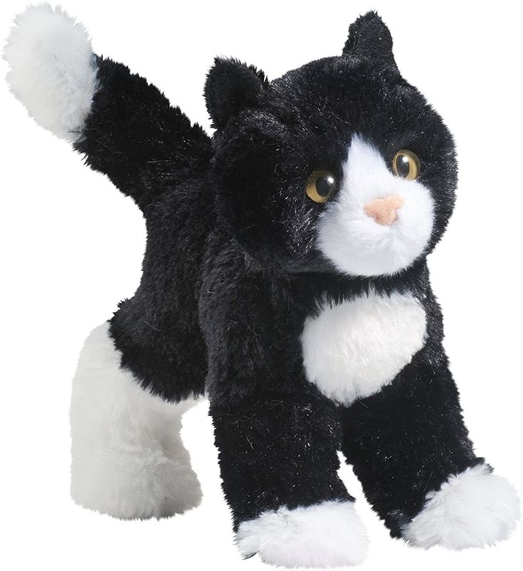 Snippy Black/White Cat