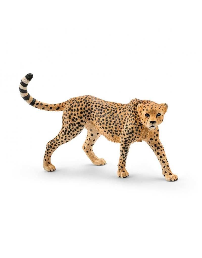 Schleich Cheetah, female