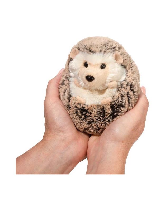 Spunky Hedgehog