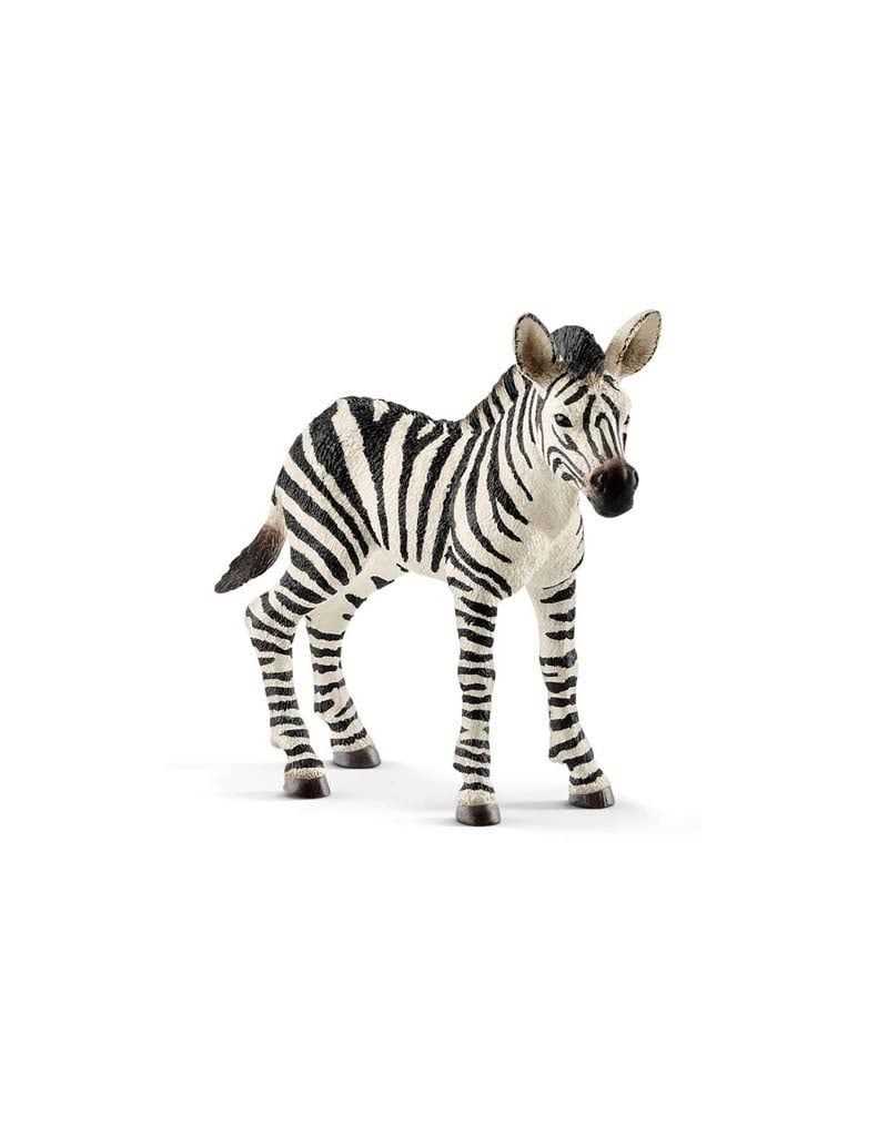 Schleich Zebra Foal