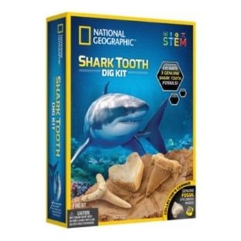 National Geographic - Shark Teeth Dig Kit