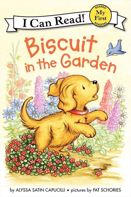 ICR Biscuit In The Garden
