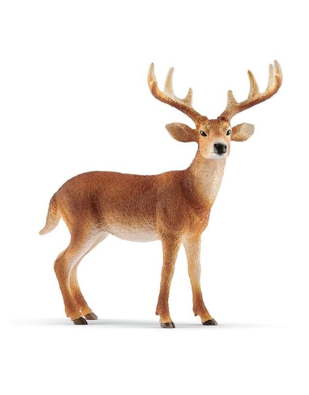 Schleich White tailed buck