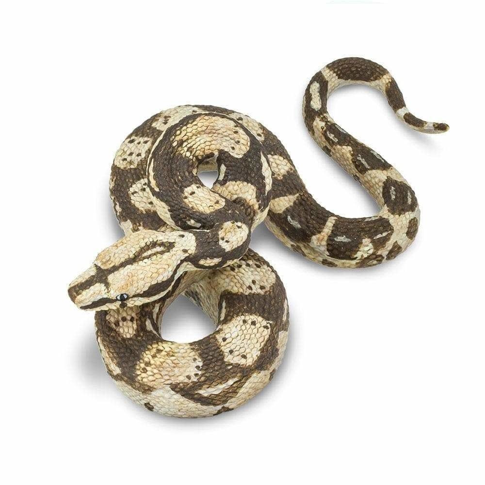 Safari BOA CONSTRICTOR