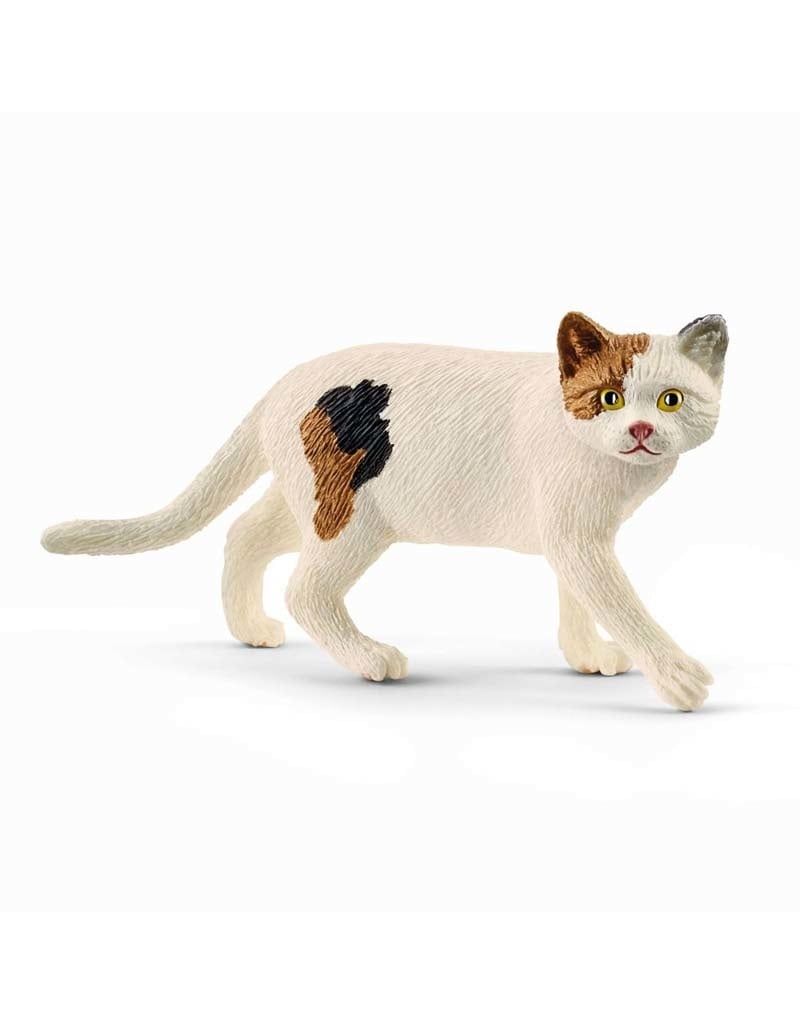 T#Schleich American Shorthair Cat