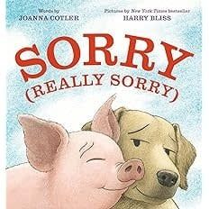 Sorry (Really Sorry)