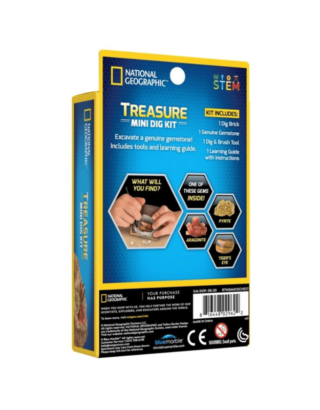 Carded Treasure Mini Dig Kit