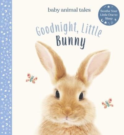 Goodnight Little Bunny