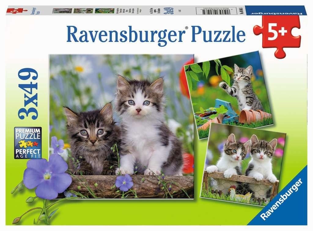 3 x 49pc Cuddly Kittens Puzzle