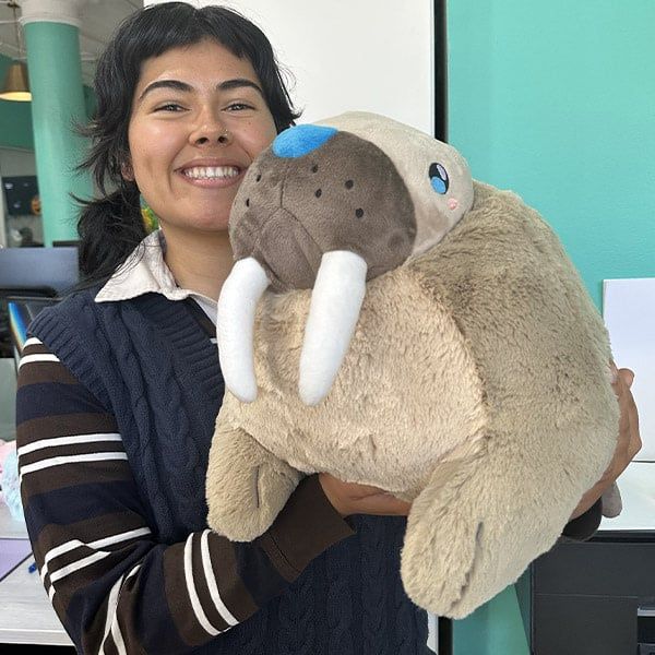 Squishable Walrus