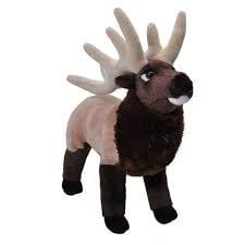 Elk Standing