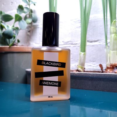 Perfume &amp; Cologne