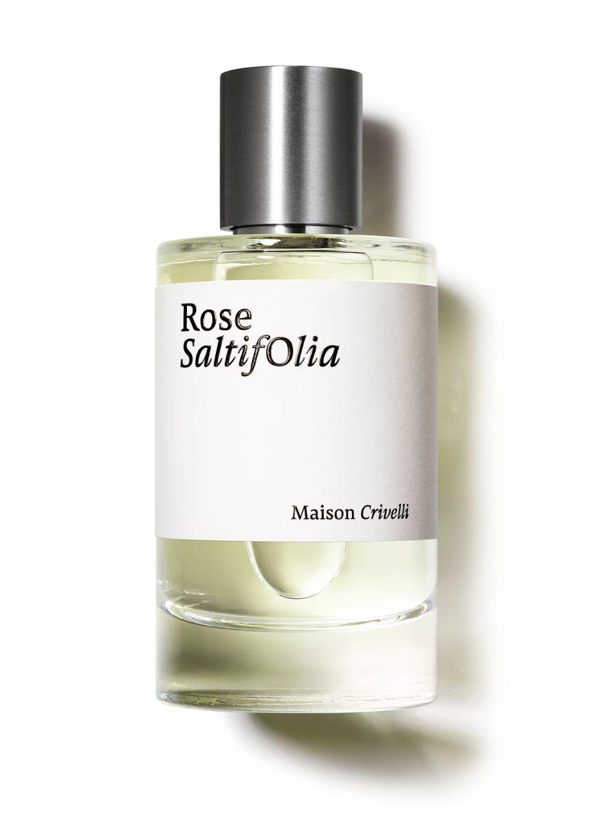 Maison Crivelli Rose Saltifolia