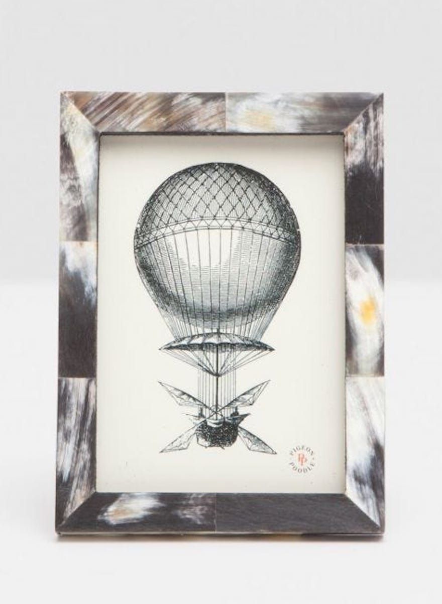 Pigeon &amp; Poodle Essen Frame (Dark Horn)
