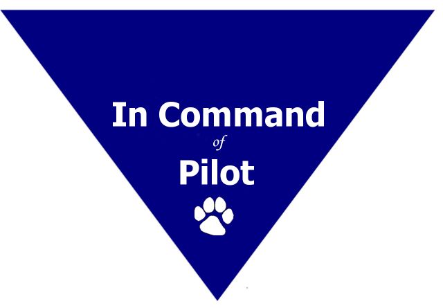 In Command of Pilot Triangle Bandana