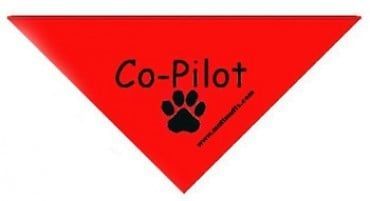 Co-Pilot Triangle Bandana
