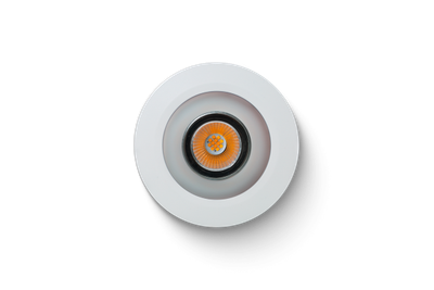 LED Spot WW PWM wit
