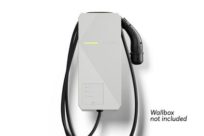 Touch Pure Flex Tree wit - Wallbox
