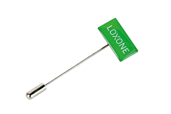 Loxone Pin