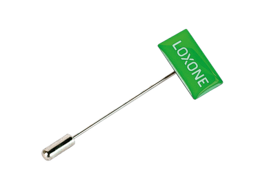 Loxone Pin