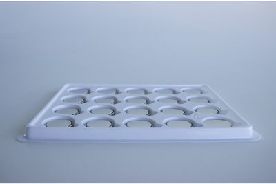 CR2032 Lithium Battery (Pack of 20)