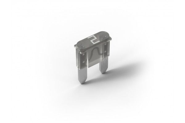 Fuse 2A for Power Supply &amp; Backup (100 pcs.)