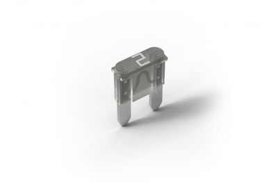 Fuse 2A for Power Supply &amp; Backup (100 pcs.)