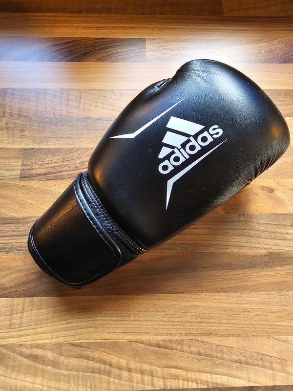 Boxing Gloves 10oz