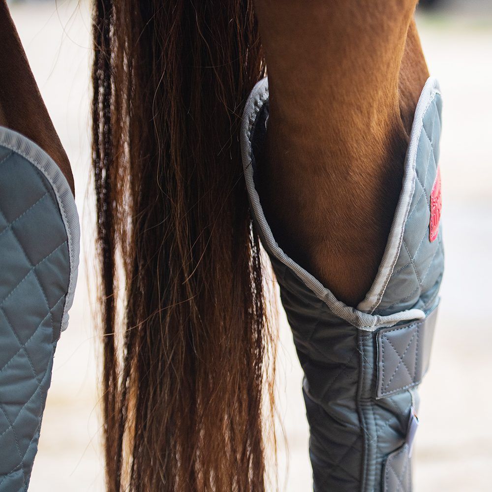 Magnetic Hind + Hock Magnetic Chaps, Size: Medium