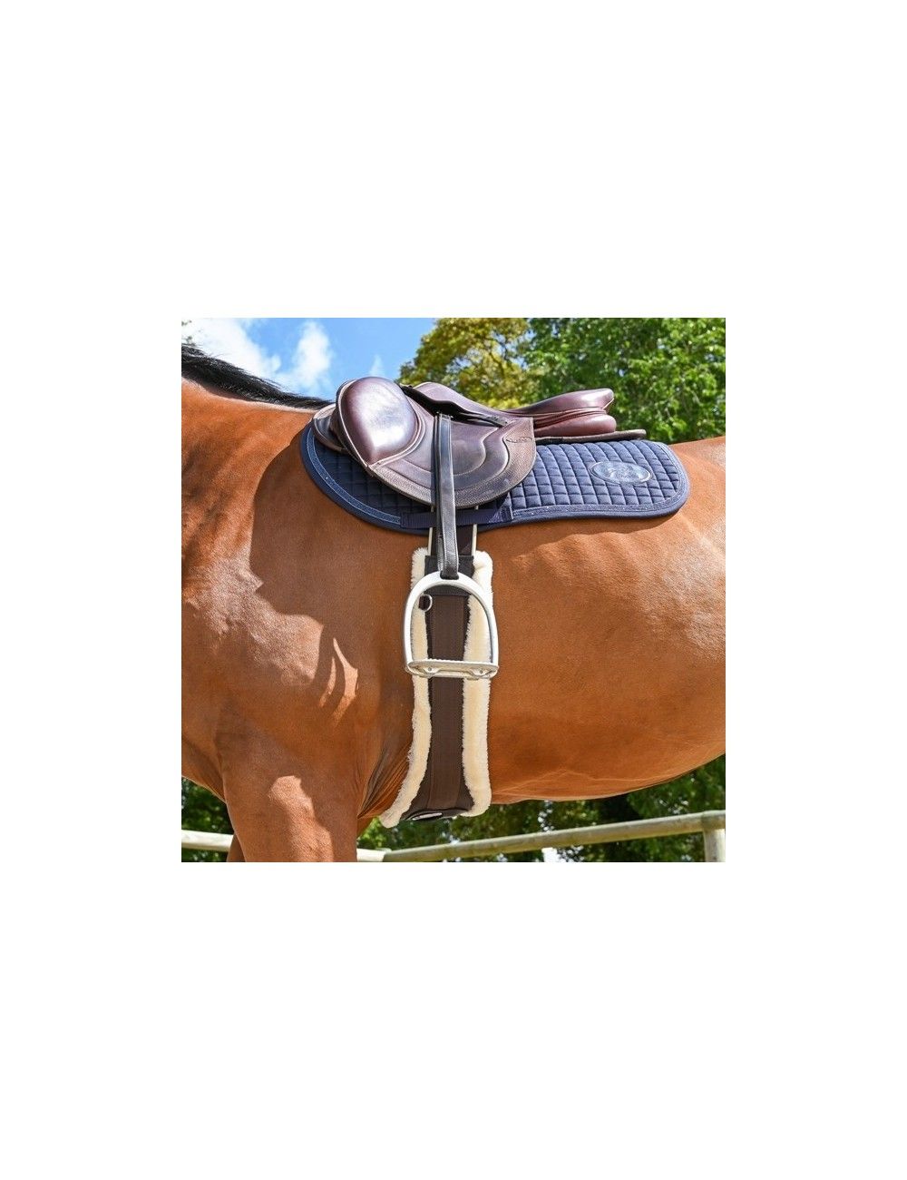 Safety One Anatomical Girth , Size: 135cm (53 inch)