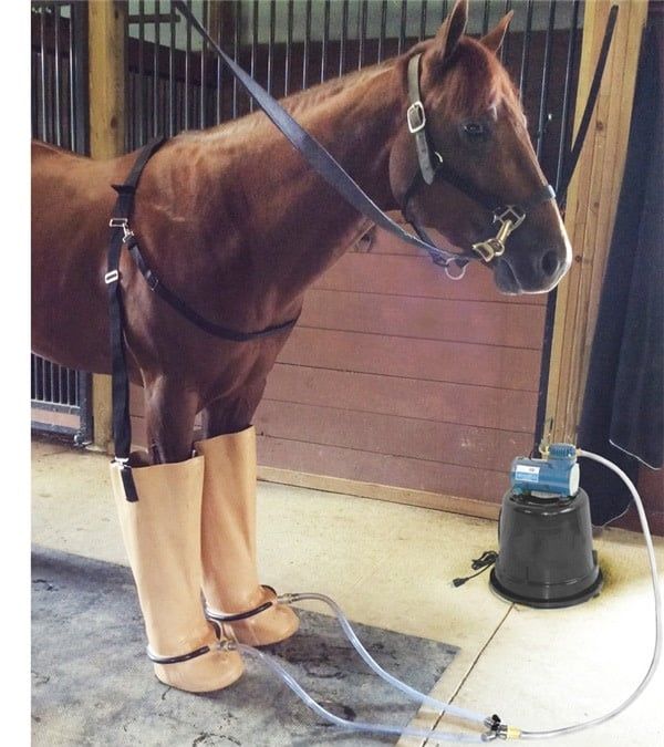 Whirlpool Boots