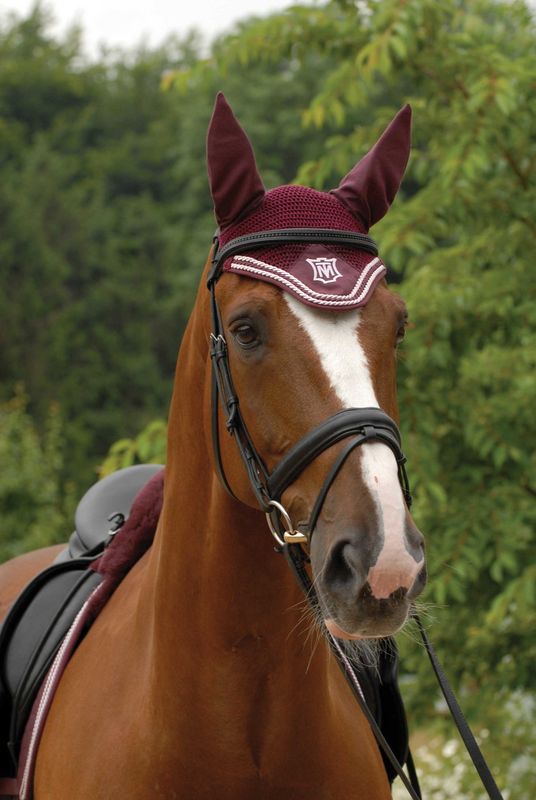 Soundproof Ear Bonnet