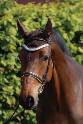 Ear Bonnet