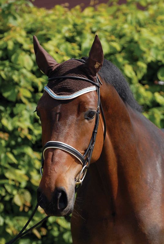 Ear Bonnet