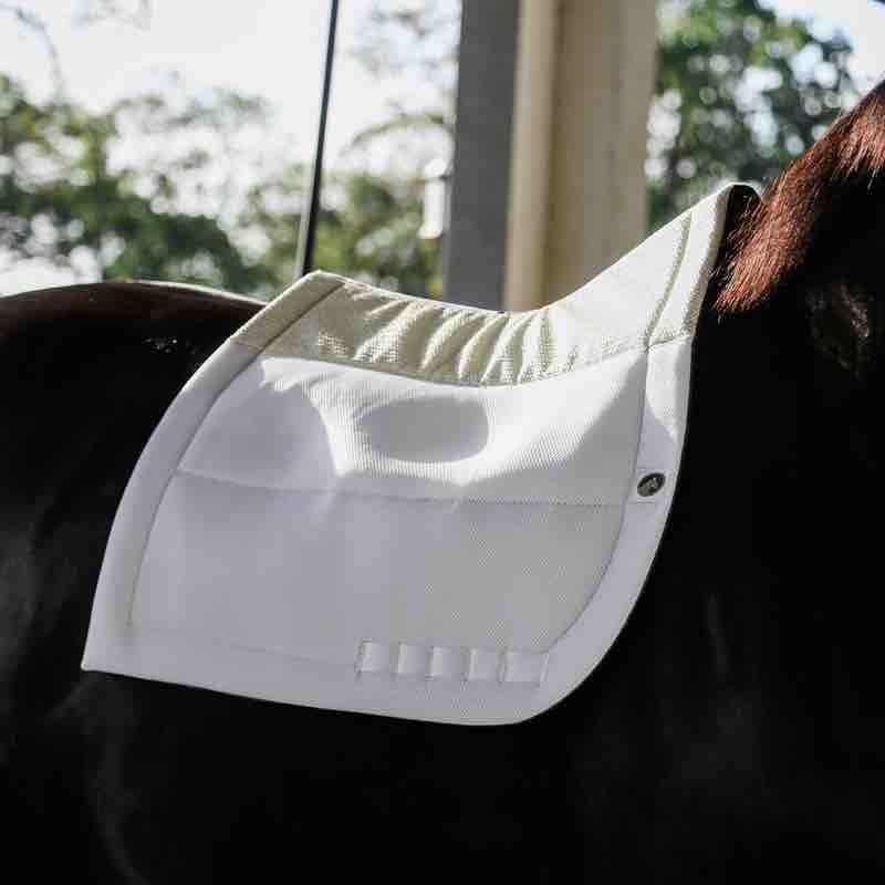 Secure Dressage Pad