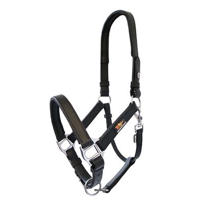 Stellar Head Collar