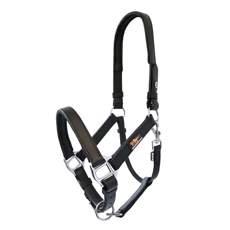 Stellar Head Collar
