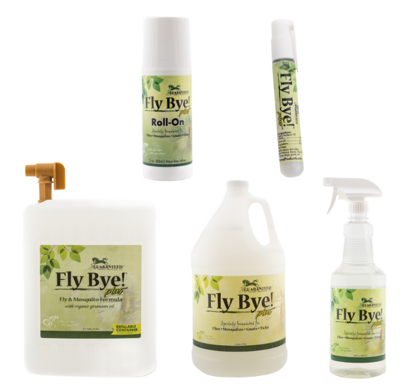 FlyBye Plus!
