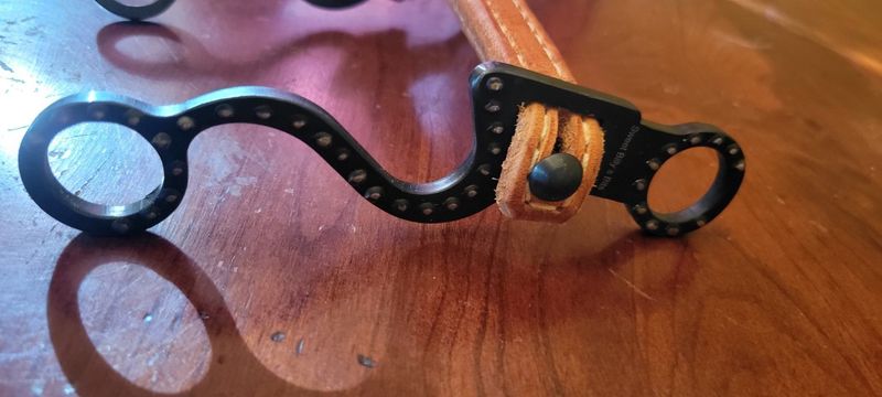 Flat leather curb with button cheek and dotted shanks