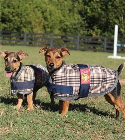 5/A Baker® Dog Blanket – Waterproof, Insulated, Classic Plaid