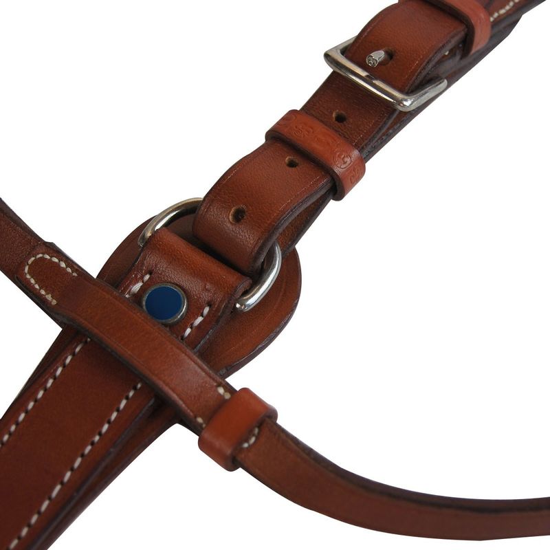 Running Martingale