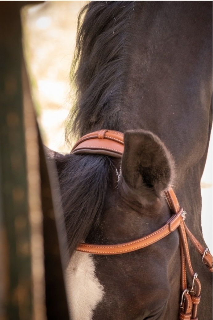 Elegance Bridle