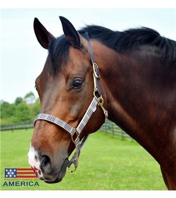 5/A Baker® Breakaway Halter – 1&quot; with Full Leather Crown