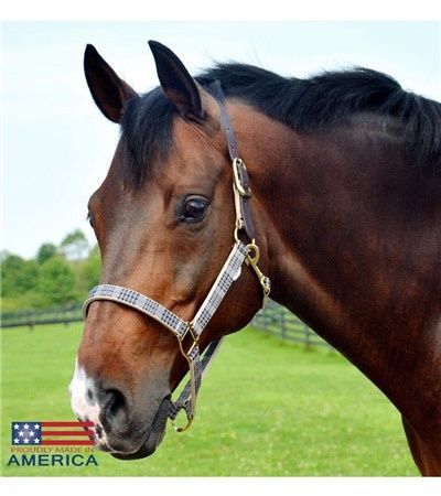 5/A Baker® Breakaway Halter with Full Leather Crown 1&quot;