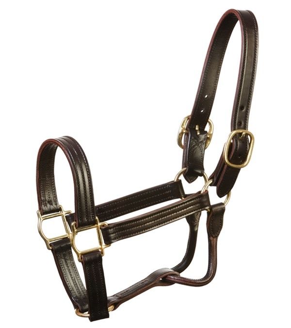 Leather Track Halter